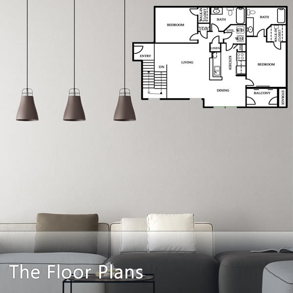 Spacious Floor Plans